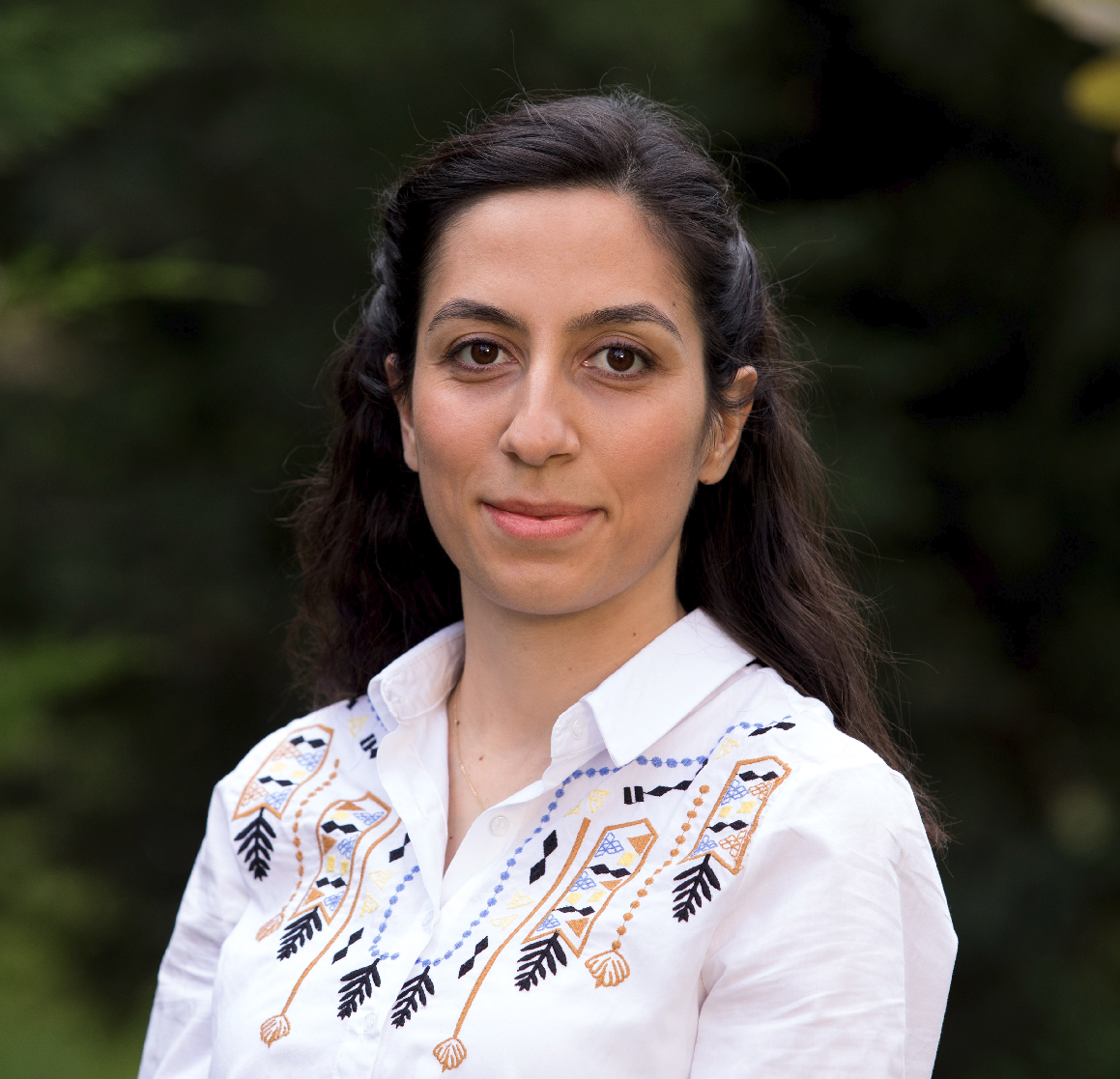 Dr. Ozge Mercanoglu Sincan